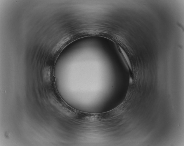 X0000099460120200805231815