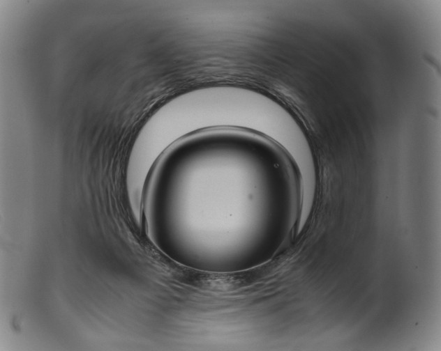 X0000099460121200805231815