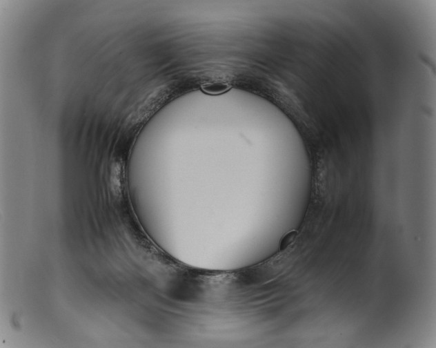 X0000099460122200805231815