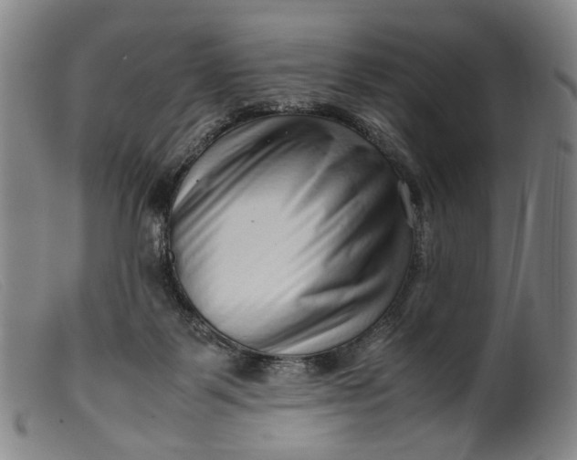 X0000099460123200805231815