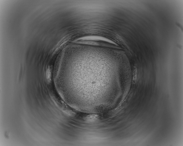 X0000099460124200805231815