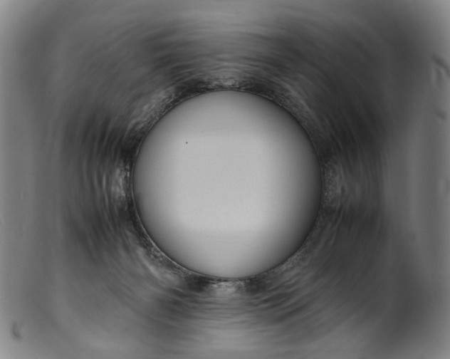 X0000099460126200805231815