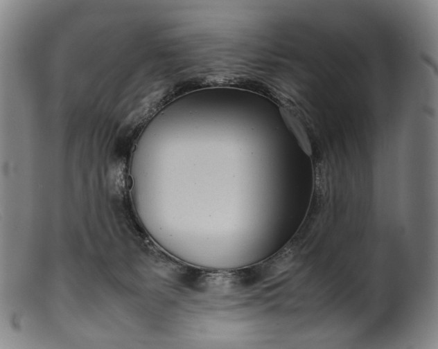 X0000099460127200805231815