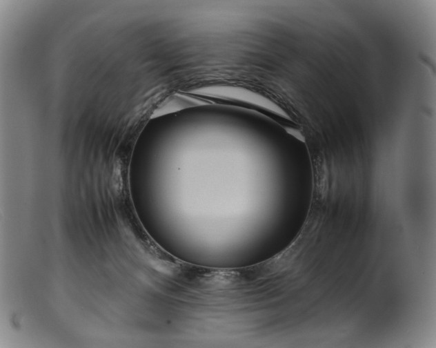 X0000099460128200805231815