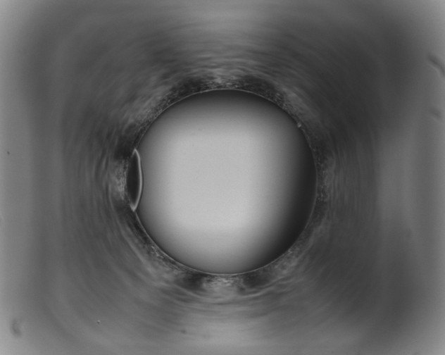 X0000099460129200805231815