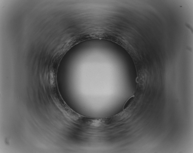 X0000099460130200805231815