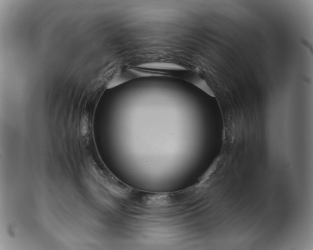 X0000099460132200805231815