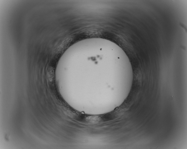 X0000099460133200805231815