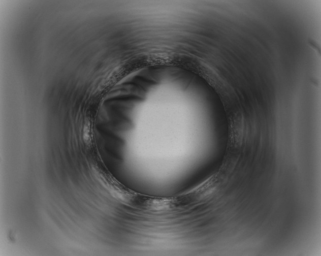 X0000099460134200805231815