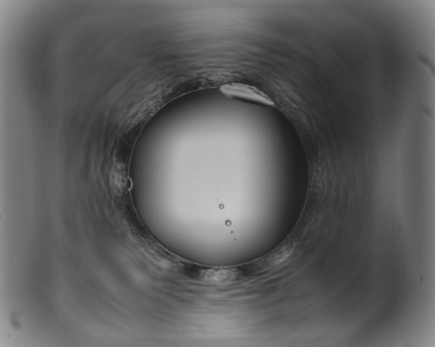 X0000099460135200805231815