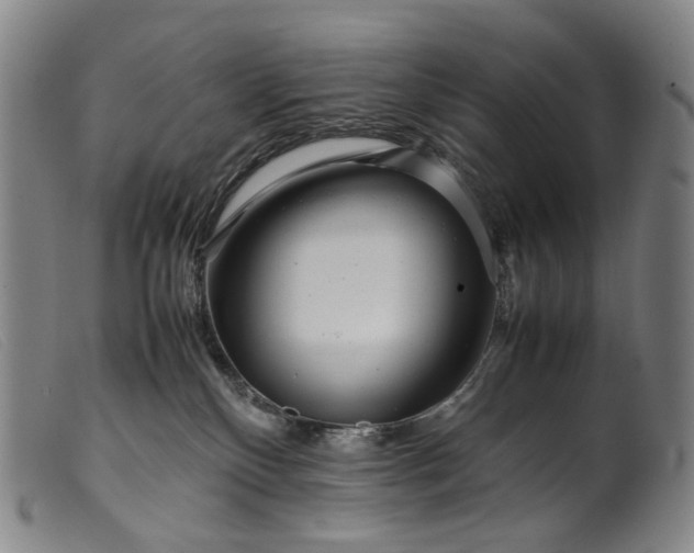 X0000099460136200805231815