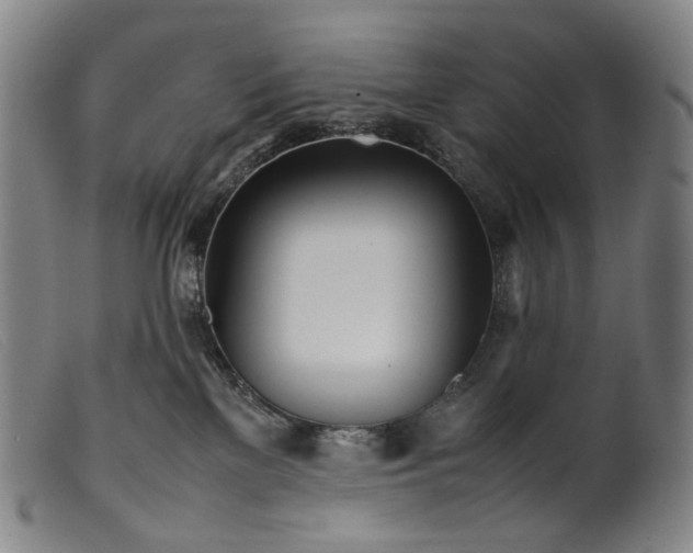 X0000099460137200805231815