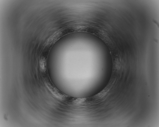 X0000099460138200805231815