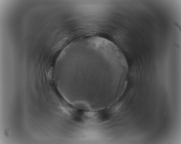 X0000099460139200805231815