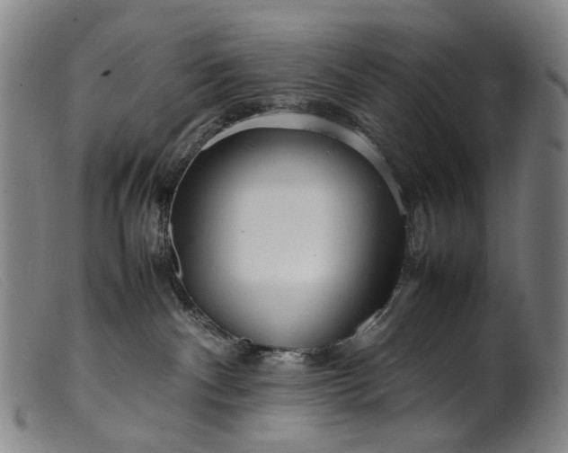 X0000099460140200805231815