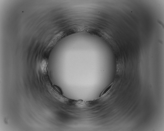 X0000099460142200805231815