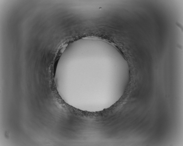 X0000099460144200805231815