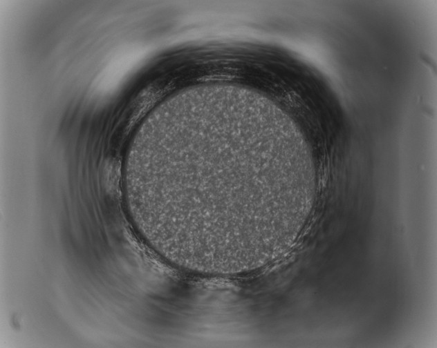 X0000099460146200805231814