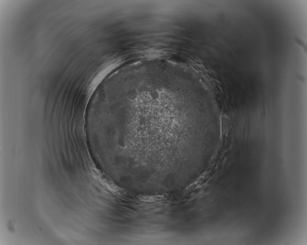 X0000099460147200805231814