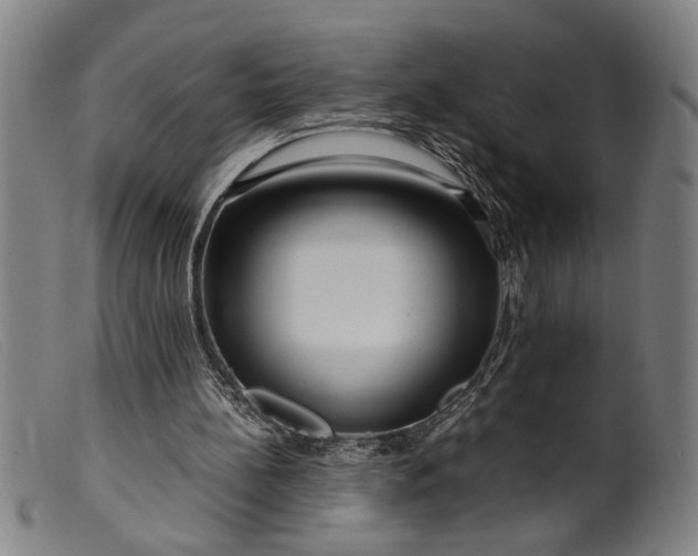 X0000099460148200805231814