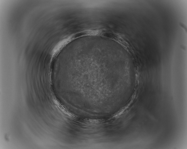 X0000099460149200805231814