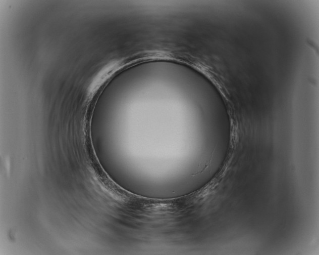 X0000099460151200805231814