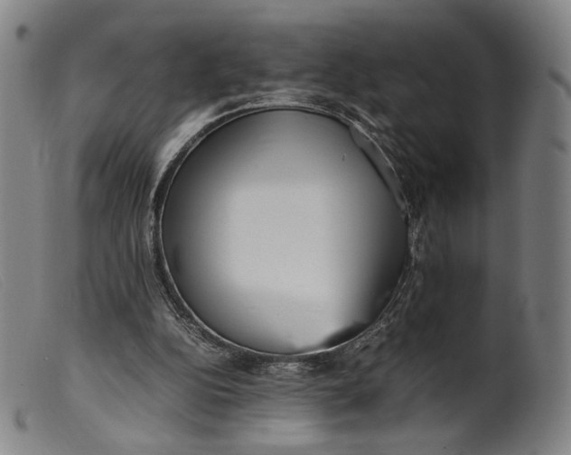 X0000099460152200805231814