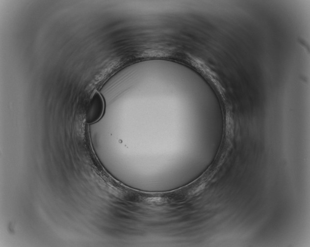 X0000099460153200805231814