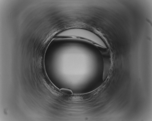 X0000099460154200805231814