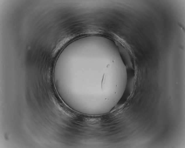 X0000099460155200805231814