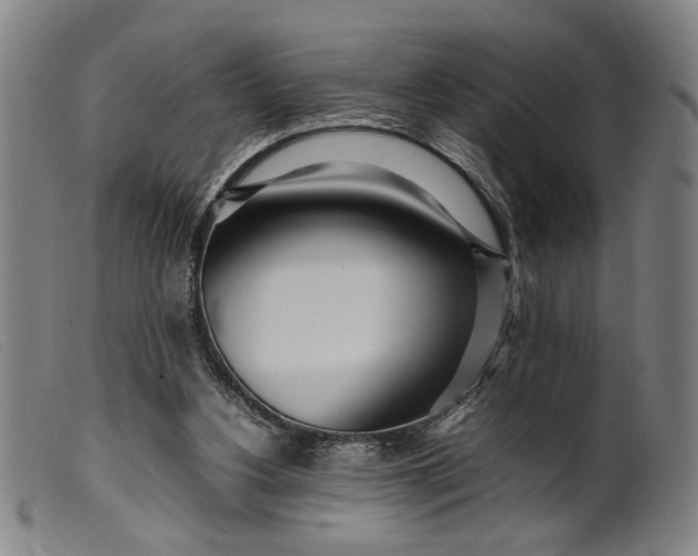 X0000099460156200805231814