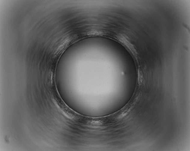 X0000099460157200805231814