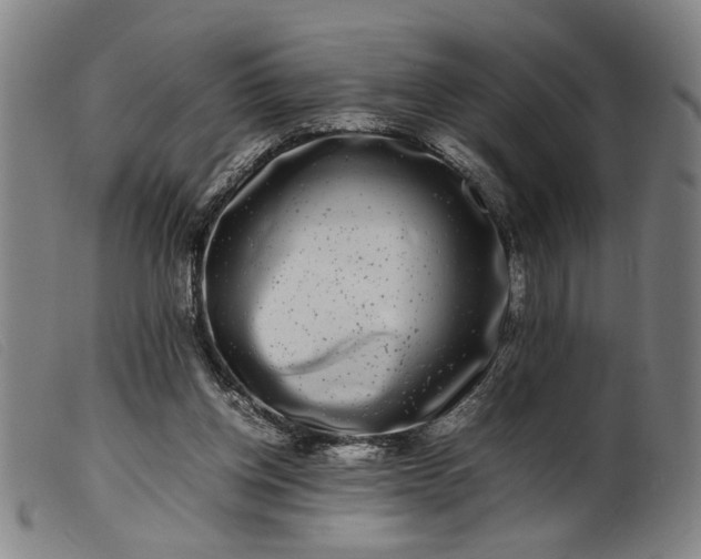 X0000099460158200805231814