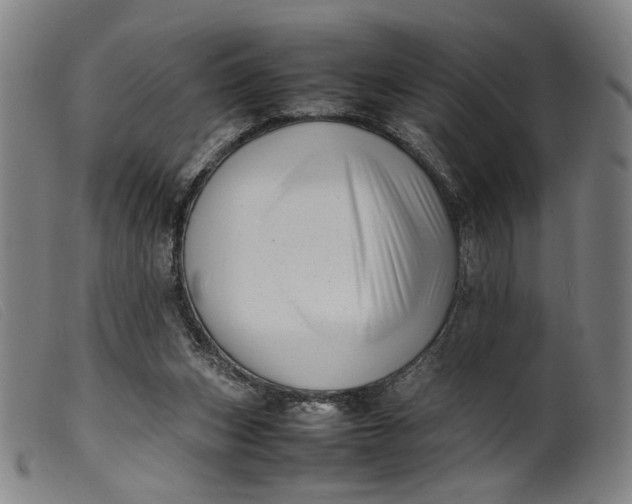 X0000099460159200805231814