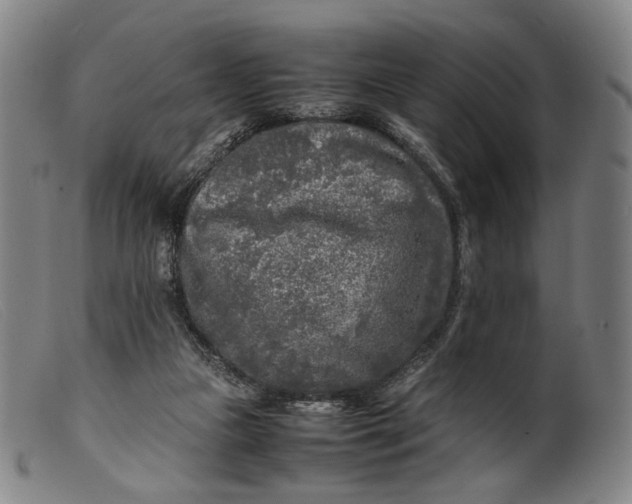 X0000099460161200805231814