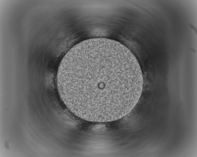 X0000099460162200805231815