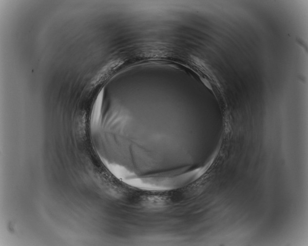 X0000099460163200805231815