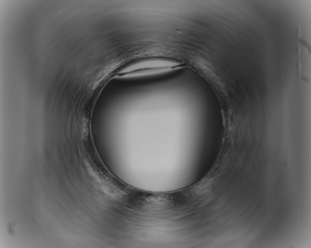 X0000099460164200805231815