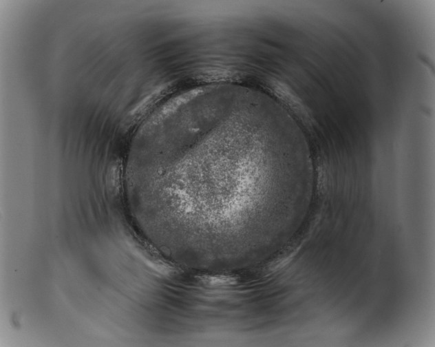 X0000099460165200805231815