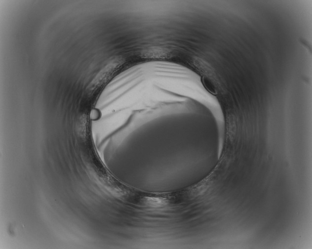 X0000099460167200805231815