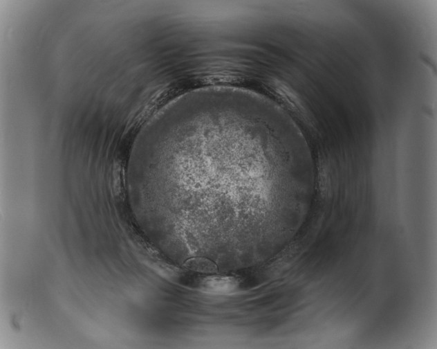 X0000099460169200805231815