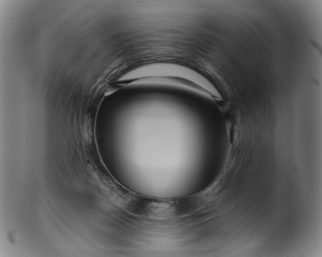 X0000099460170200805231815