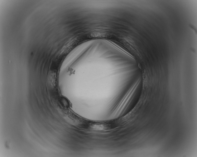 X0000099460171200805231815