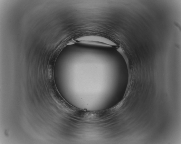 X0000099460174200805231815