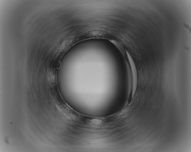 X0000099460176200805231815