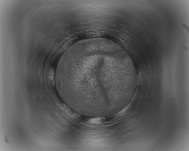 X0000099460178200805231815