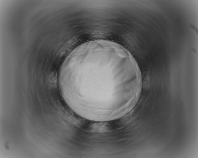 X0000099460179200805231815