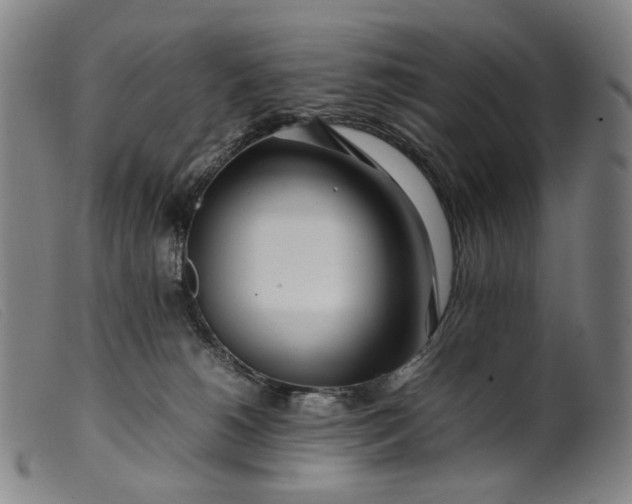 X0000099460180200805231815