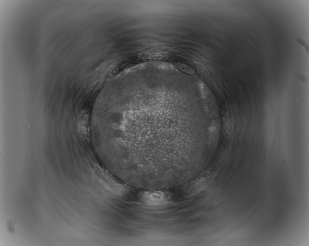 X0000099460181200805231815