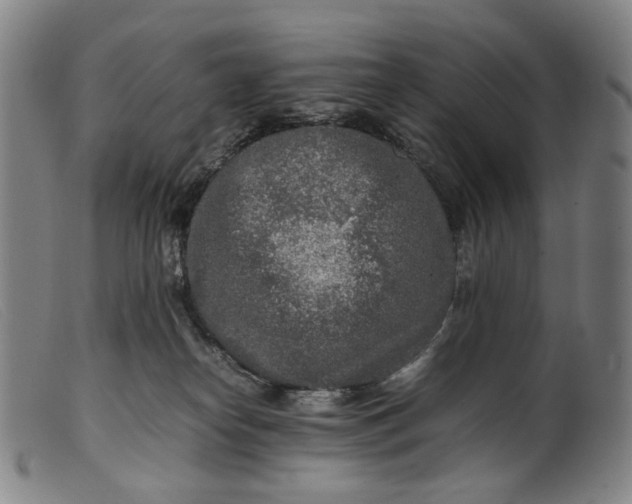 X0000099460182200805231815